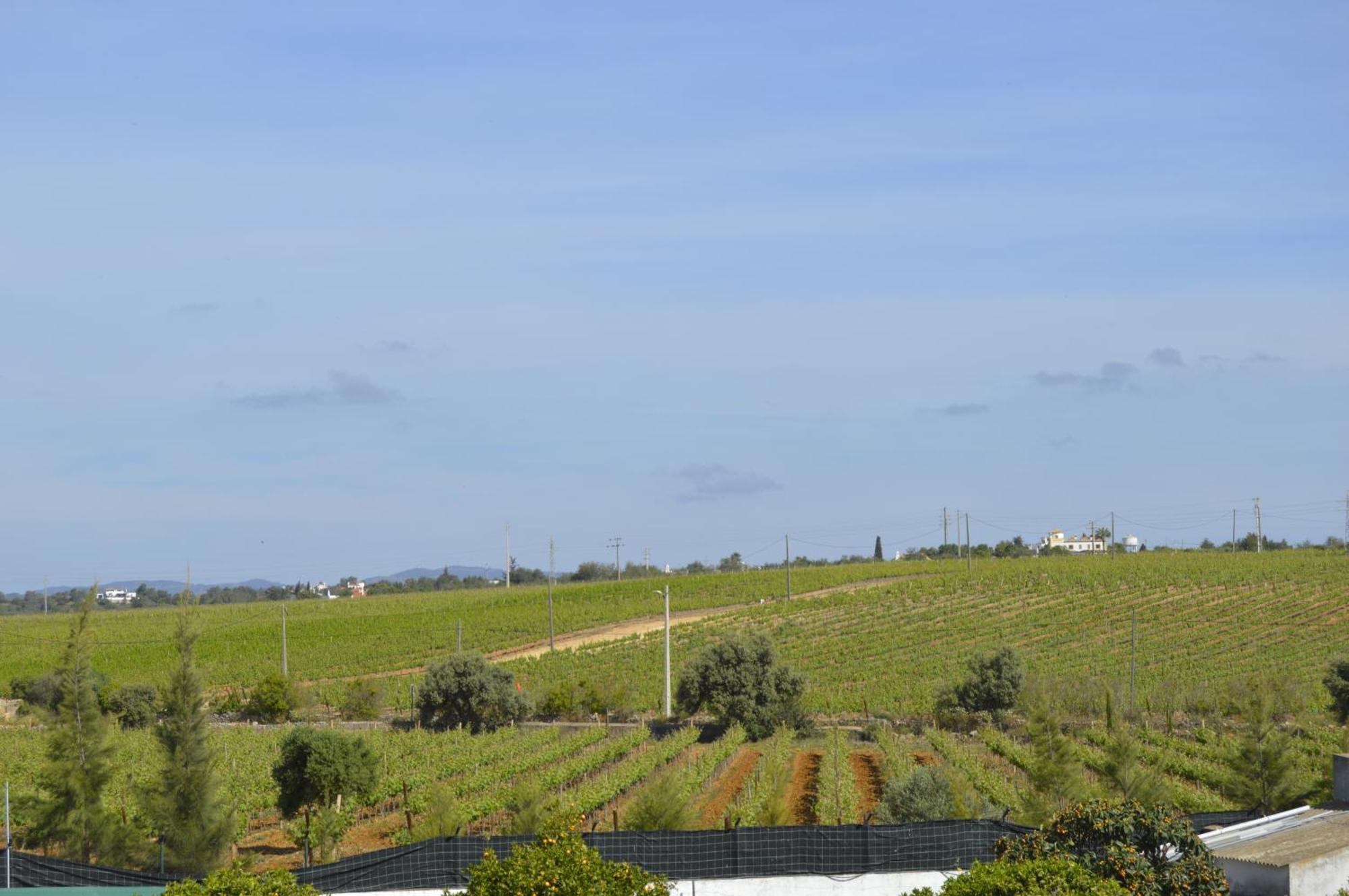 Tavira Vacations Apartments Zewnętrze zdjęcie