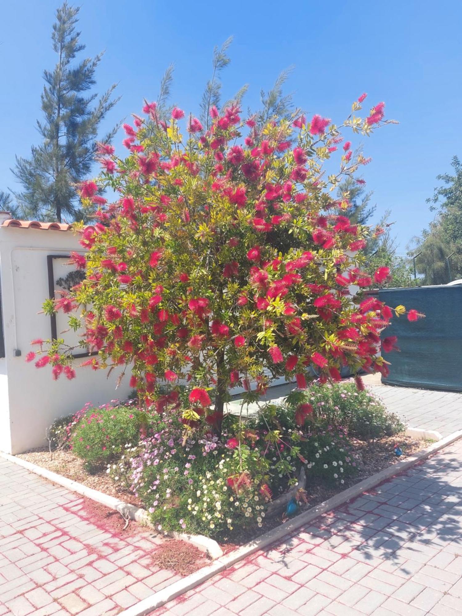 Tavira Vacations Apartments Zewnętrze zdjęcie