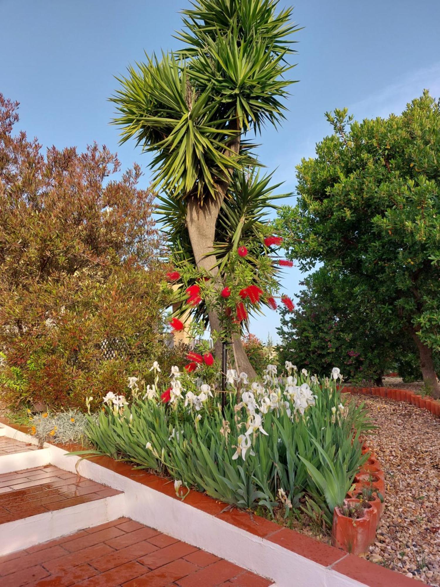 Tavira Vacations Apartments Zewnętrze zdjęcie